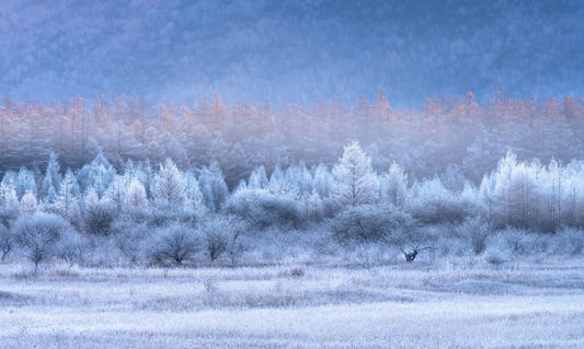 Frozen Dawn Vista Wall Mural -2593096