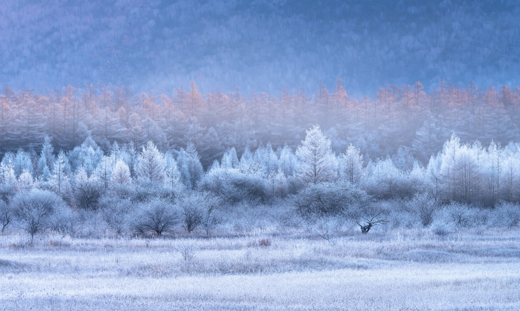 Fresque murale Frozen Dawn Vista -2593096