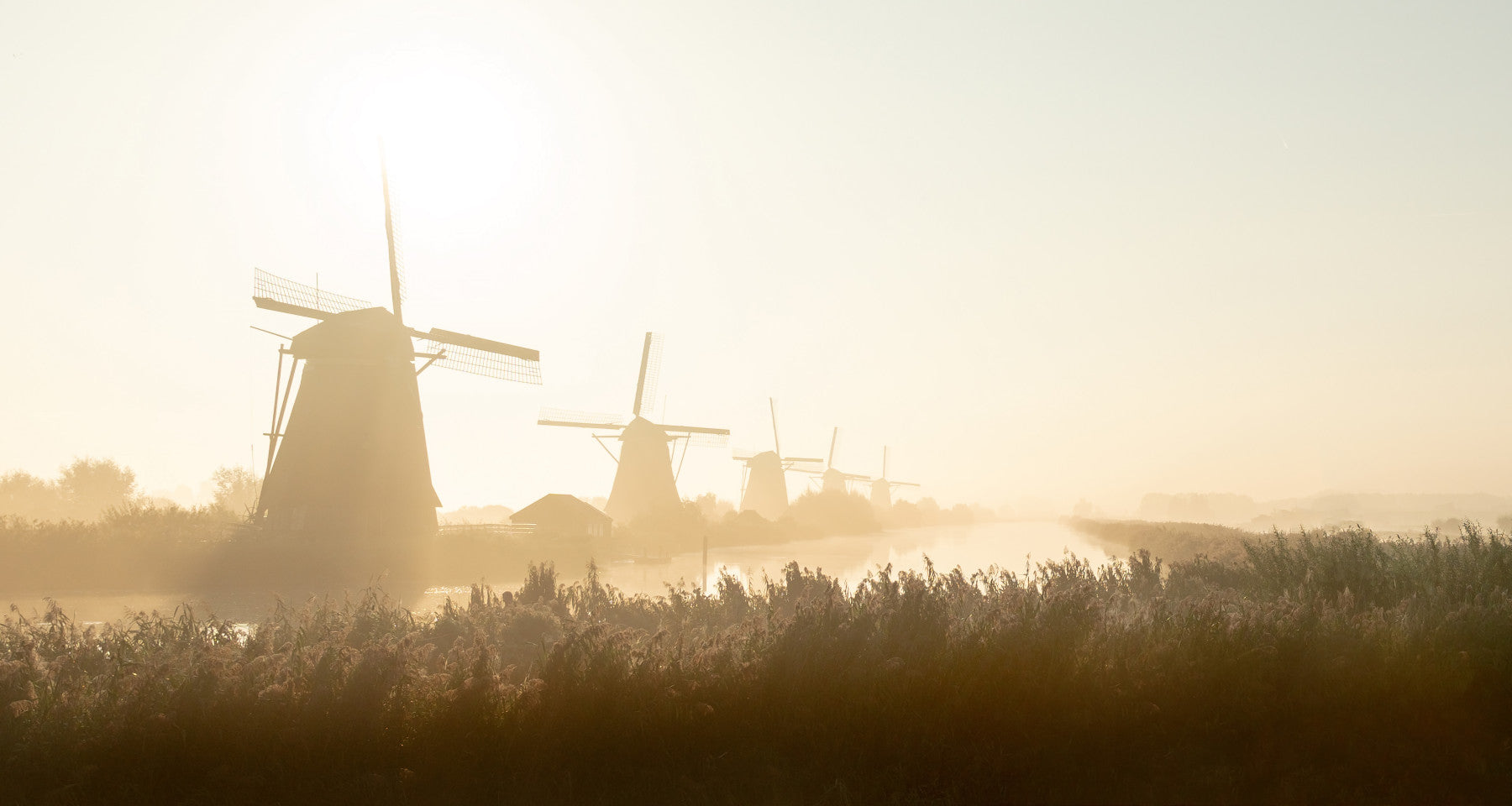 Golden Hour at Kinderdijk Wall Mural -2352343