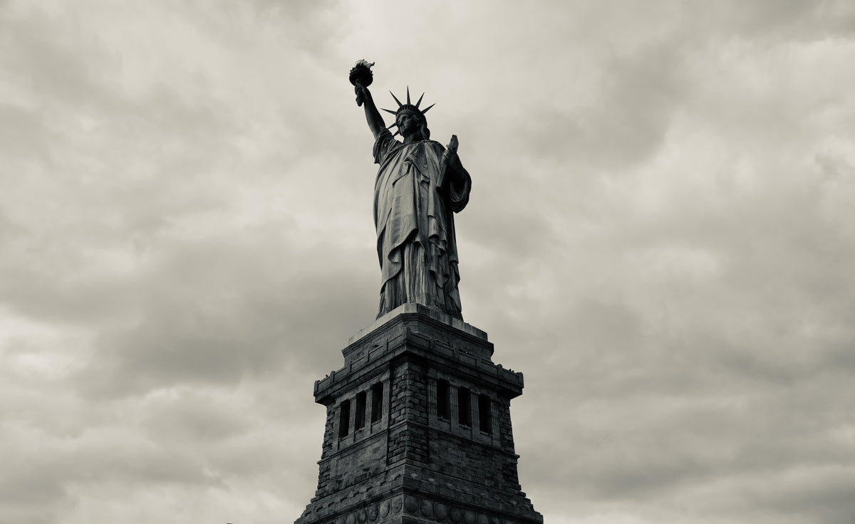 Fresque murale « Le regard monochrome de la Liberté » - 2313701 in your room — zoomed