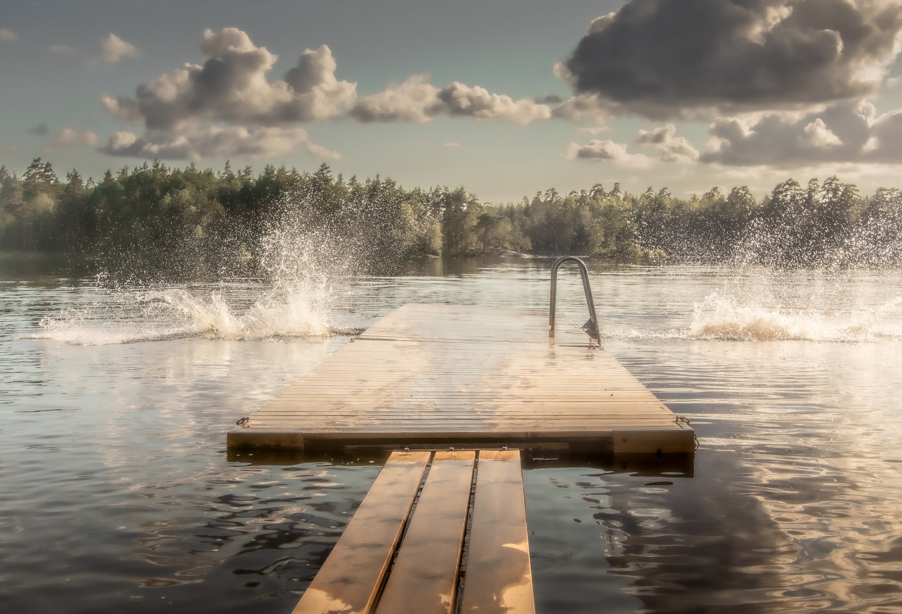 Lake Jump! Wall Mural -2221045 in your room — zoomed
