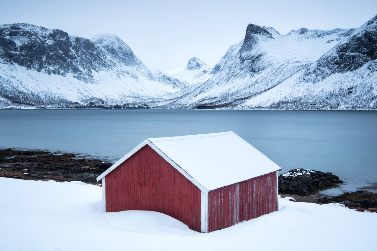 Winter Solitude Wall Mural -2213163 in your room