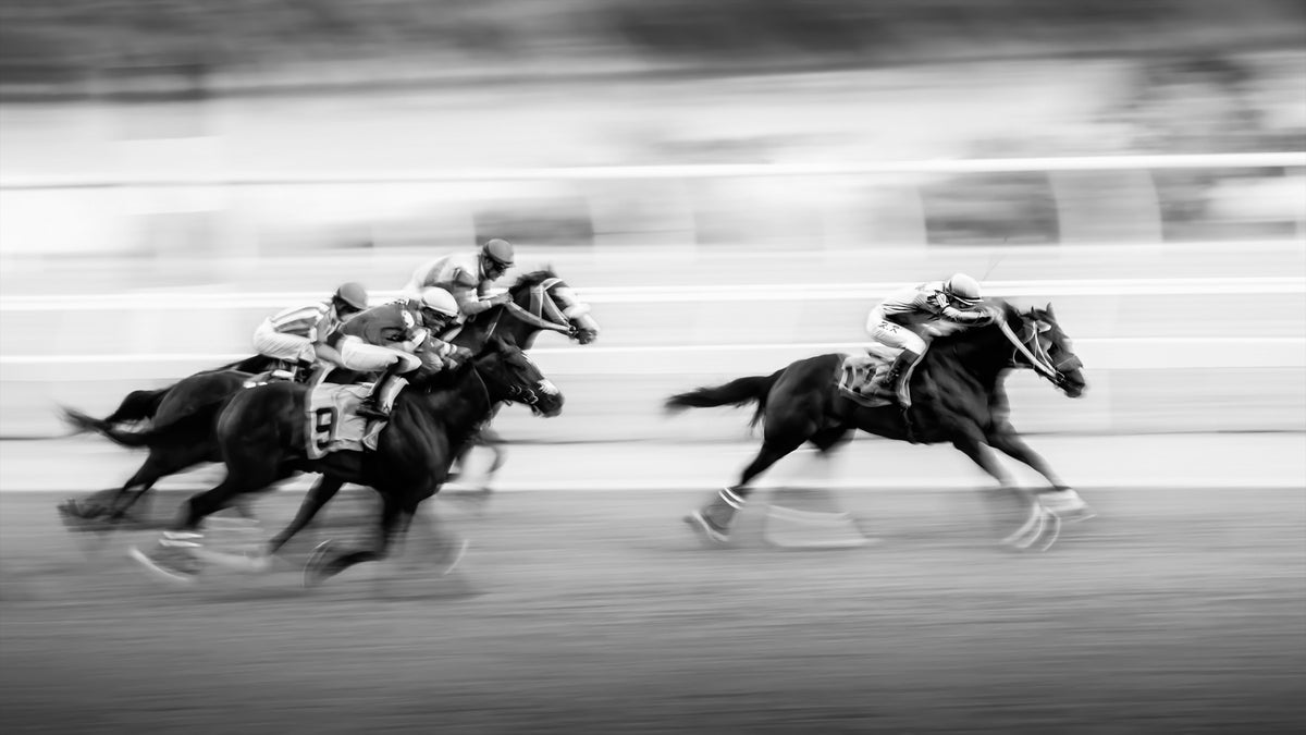 The Thrill of the Race Wall Mural -2317041 in your room — zoomed