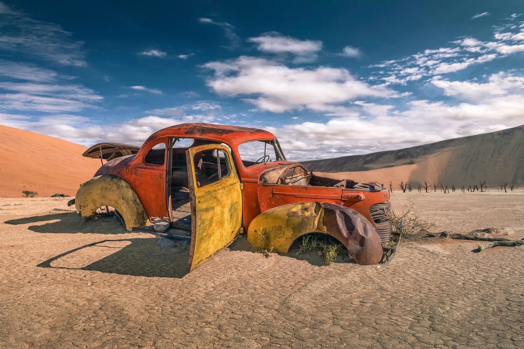 Vintage Wheels: Desert Story Wall Mural -2315676 in your room — zoomed