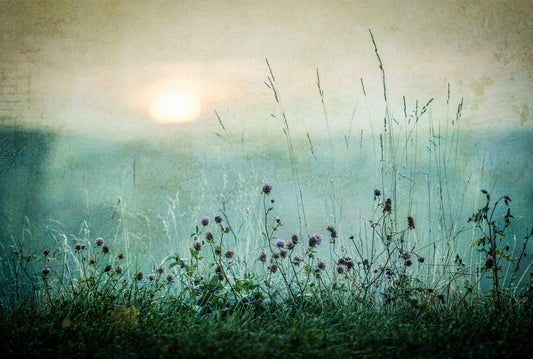 Vintage Meadow Dawn Wall Mural -1026605