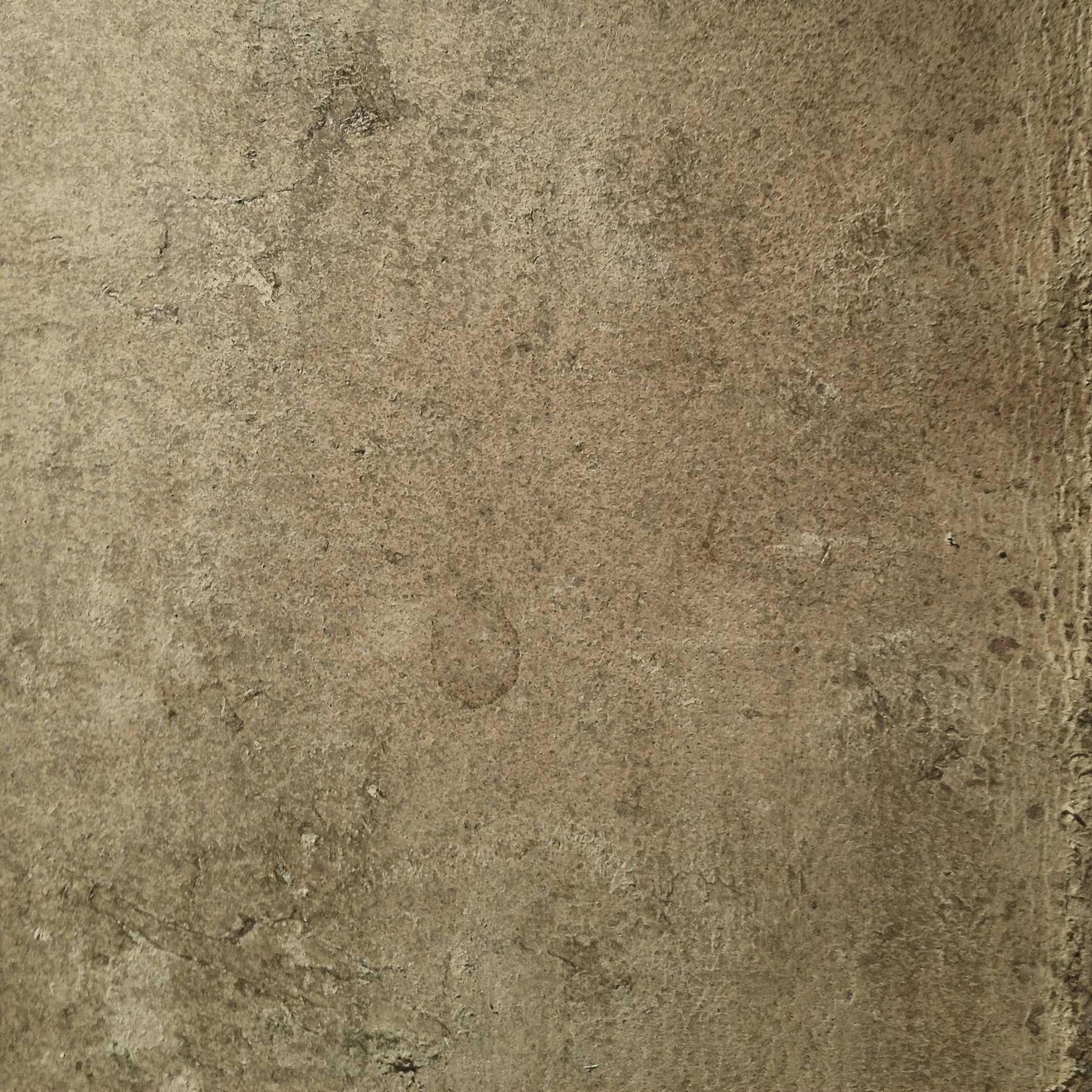 Aged Leather - Hide Wall Mural