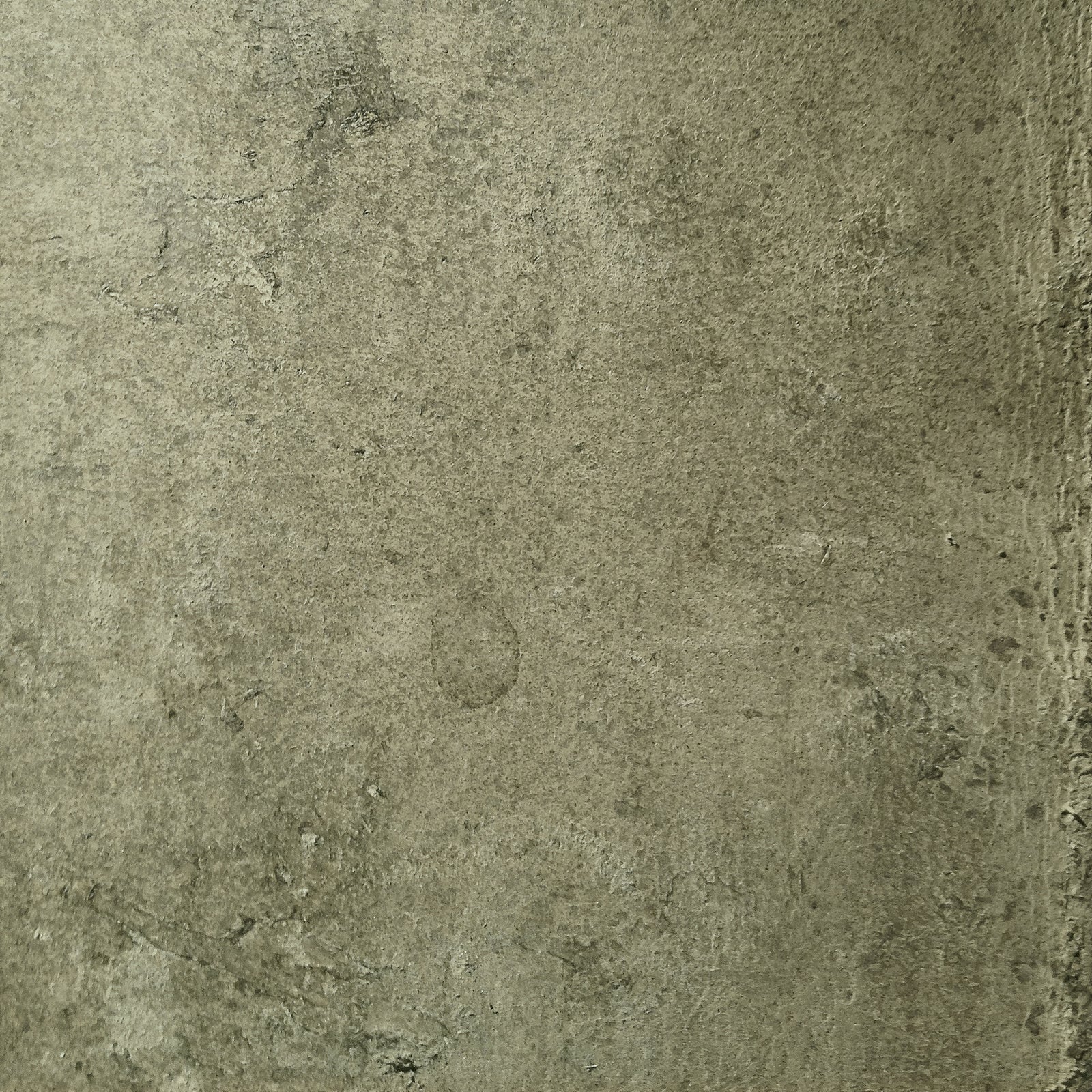 Cuir vieilli - Fresque murale olive