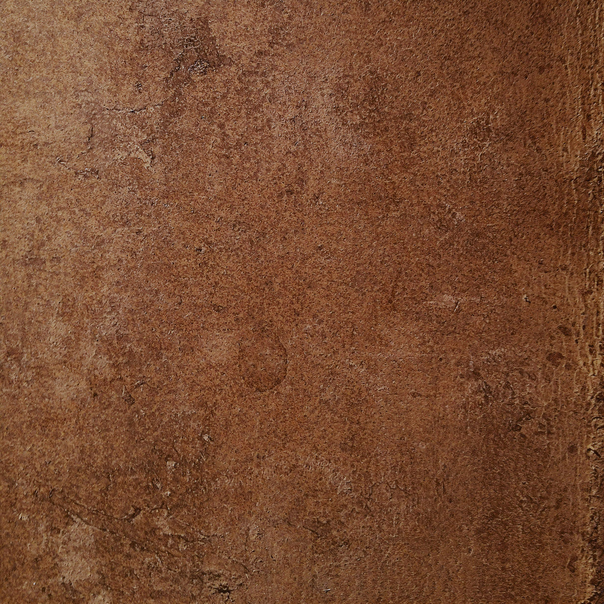 Aged Leather - Saddle Wall Mural in your room