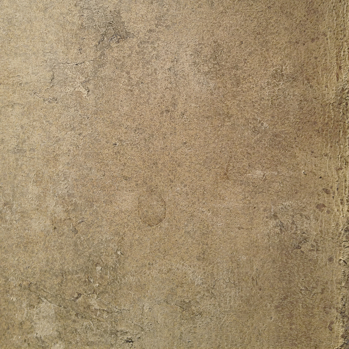 Aged Leather - Chamois Wall Mural in your room
