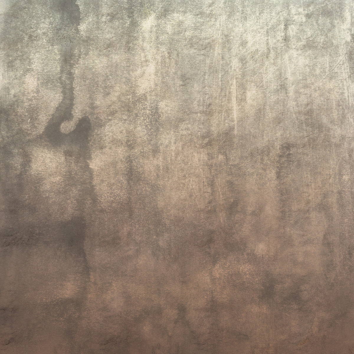 Earthy Textured Watercolour - Mushroom Wall Mural in your room