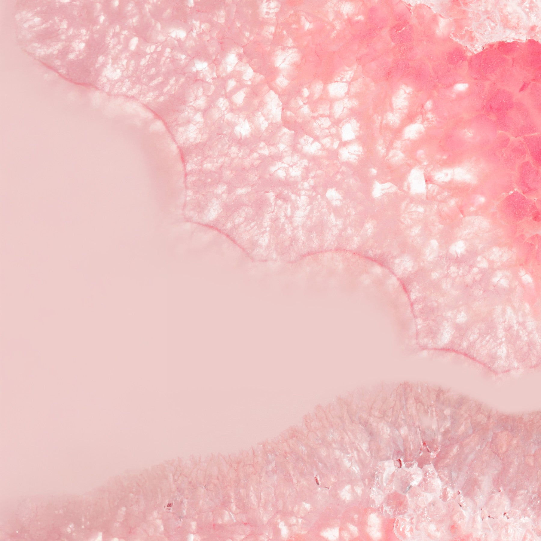 Blossom Petal Serenity Crystals Wall Mural