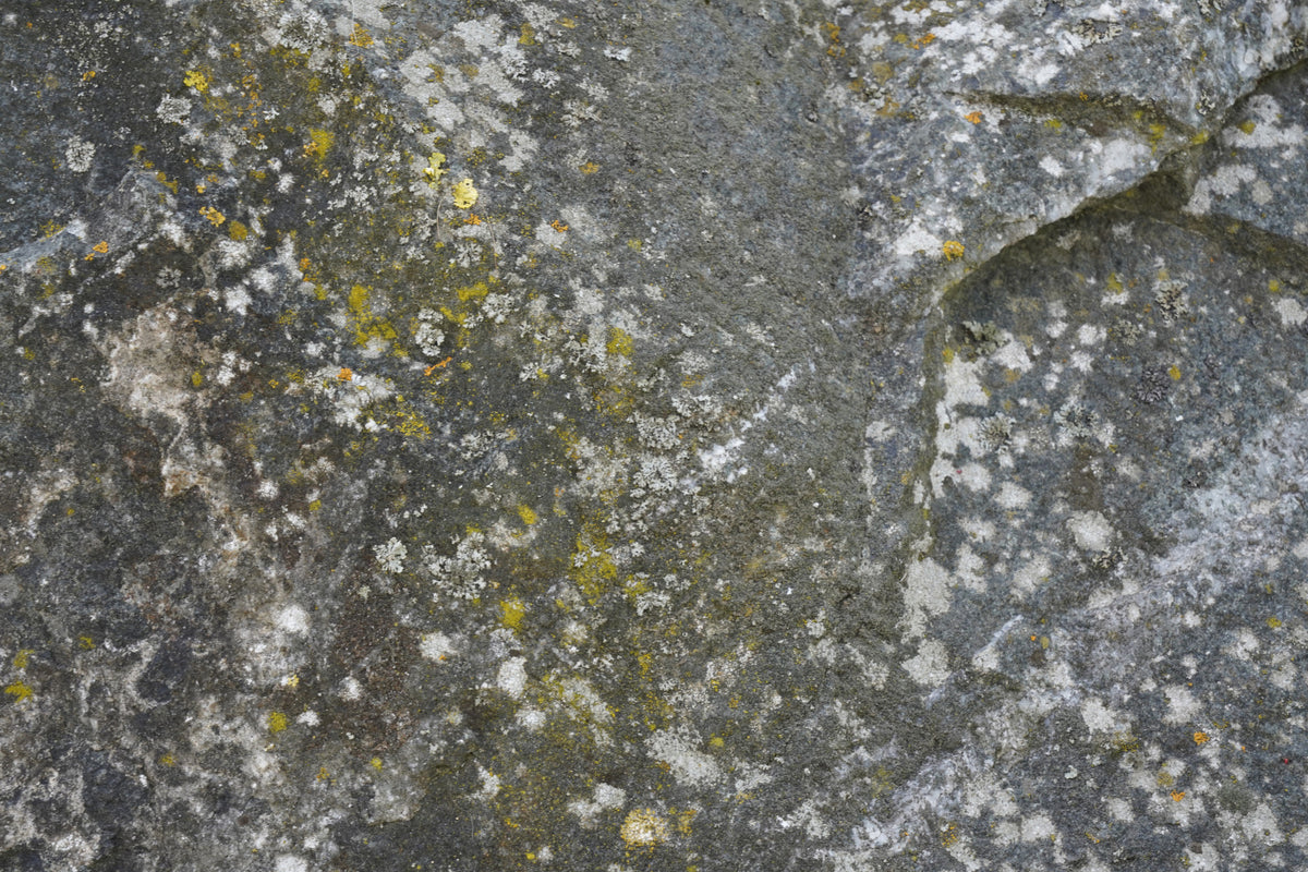 Stone Texture Wall Mural -2566622 in your room