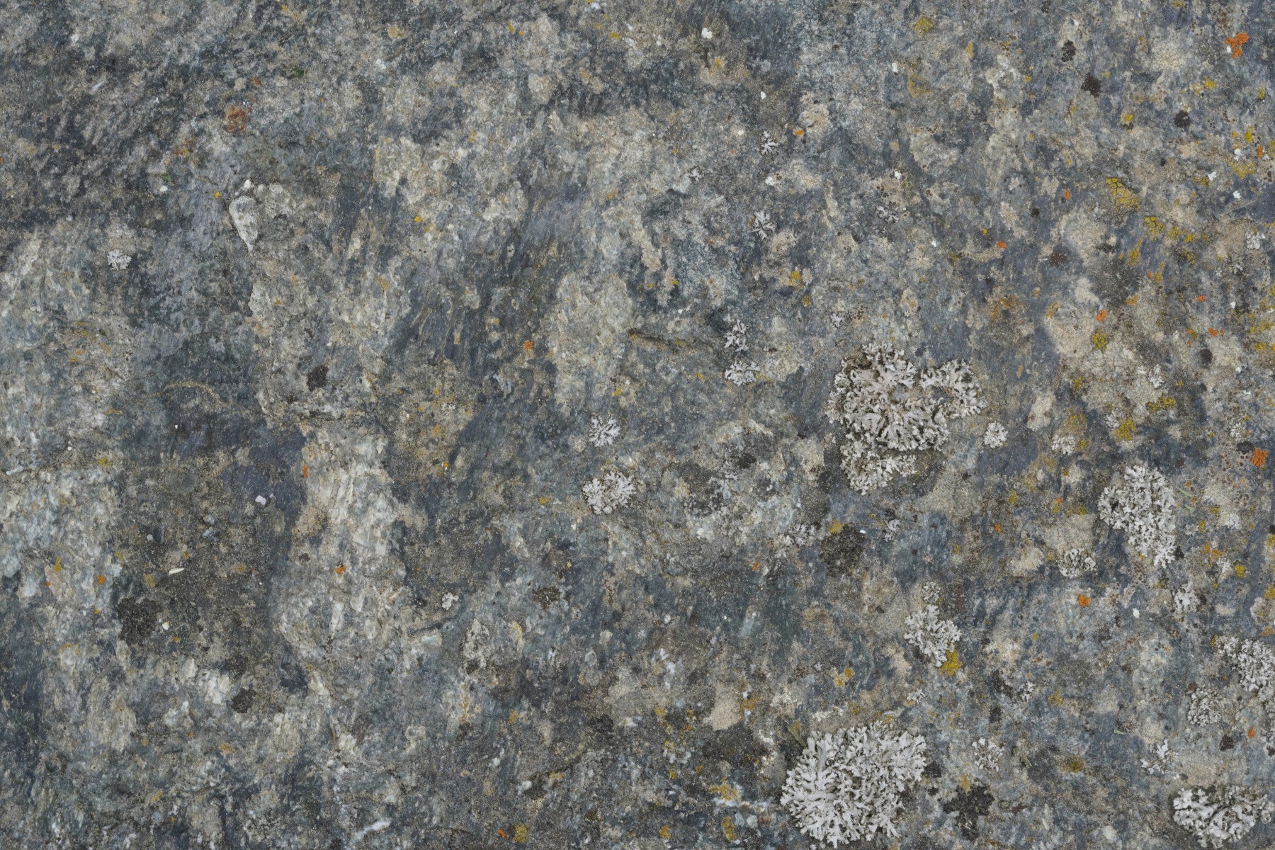 Stone Whisper Wall Mural -2566589