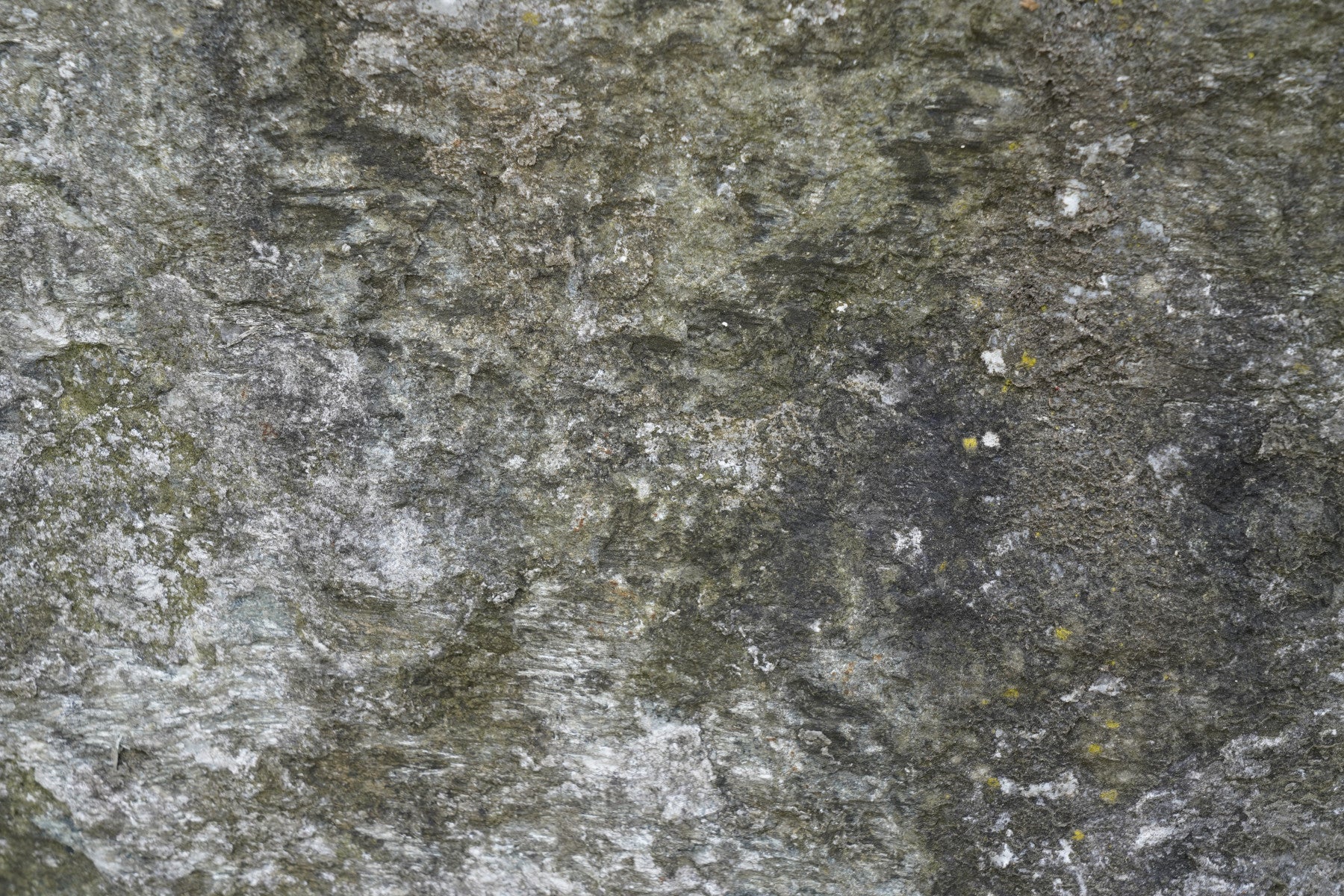 Granite Grit Wall Mural -2566620 in your room — zoomed