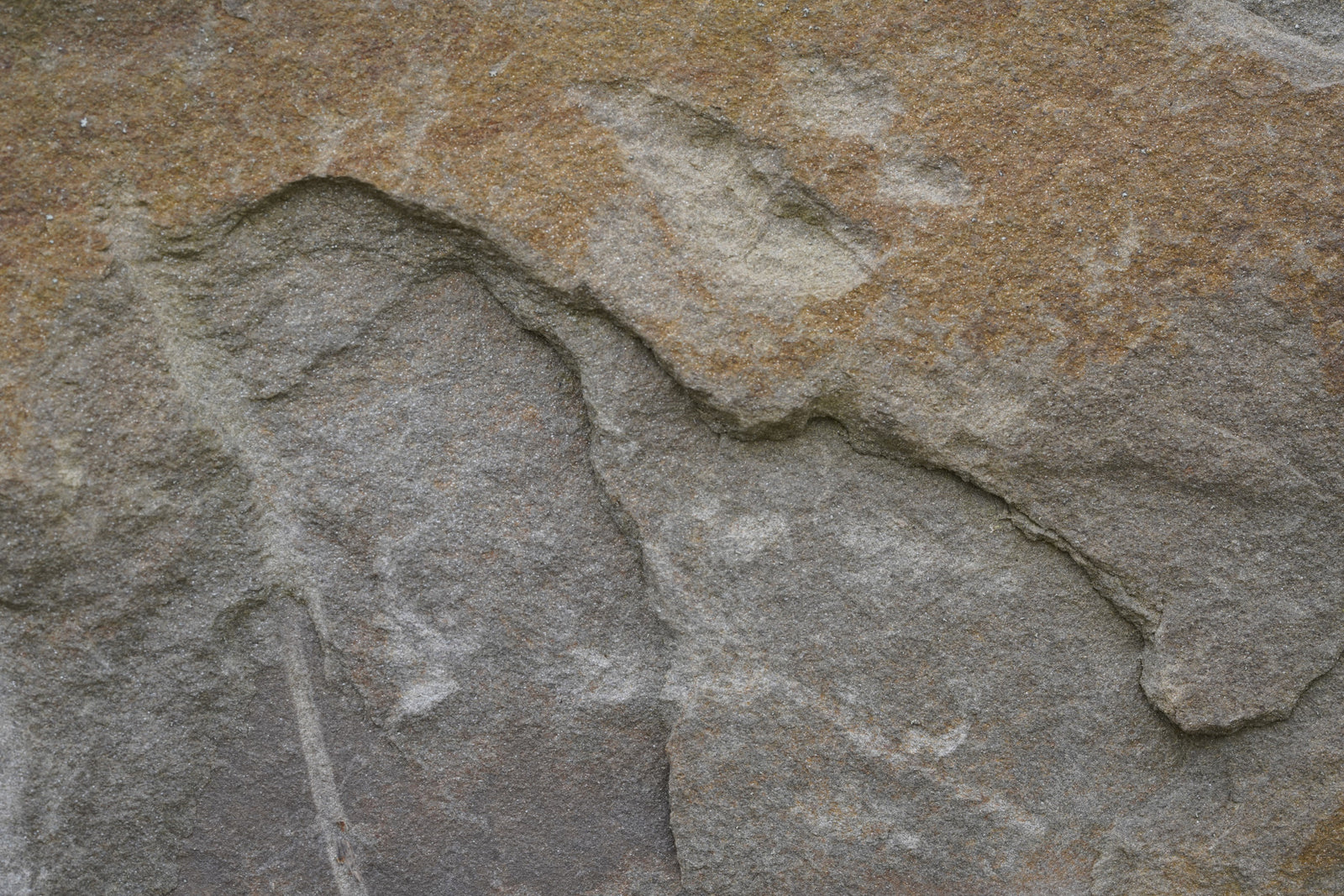 Eroded Rock Face Wall Mural -2566610
