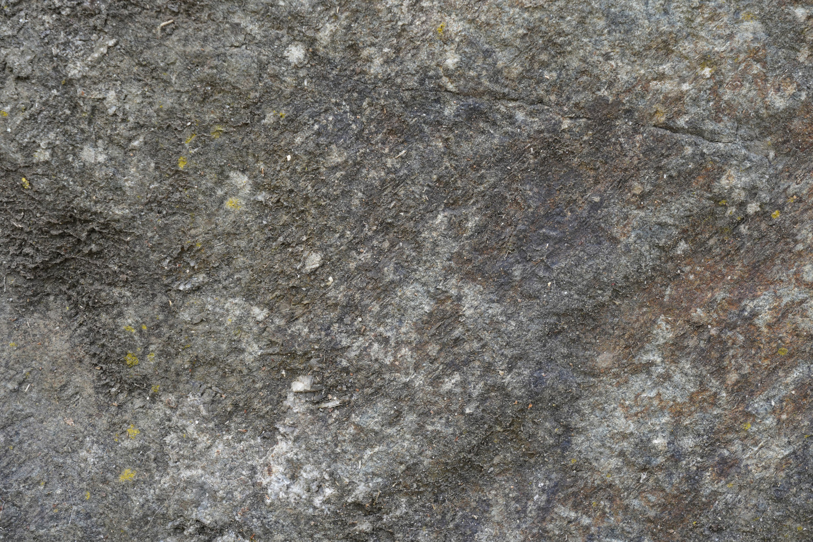 Rustic Stone Wall Mural -2566615
