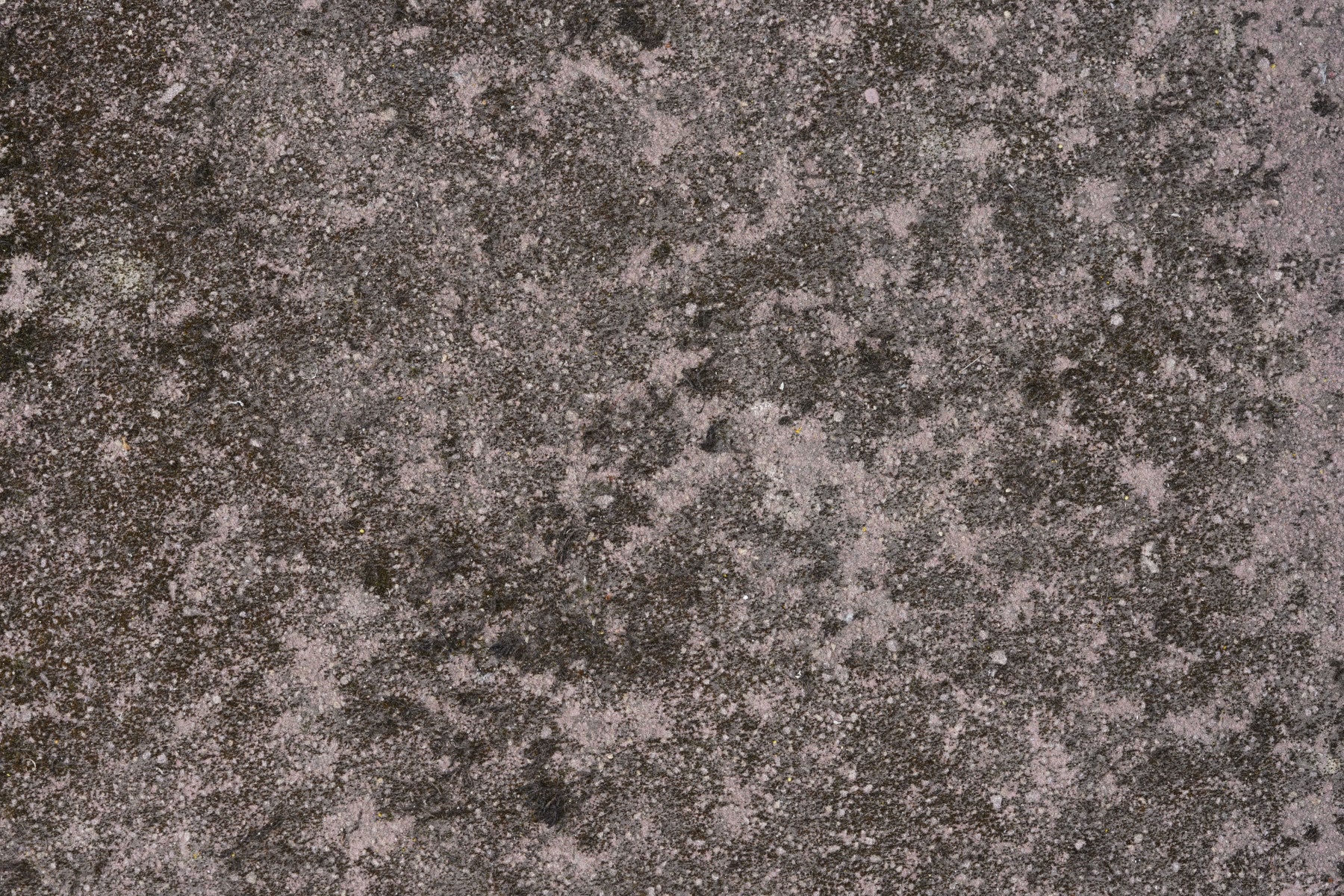 Mottled Earth Wall Mural -2566603