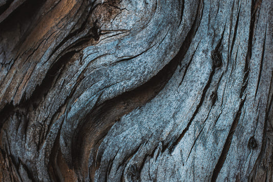 Fresque murale en bois bleu rustique -2226211