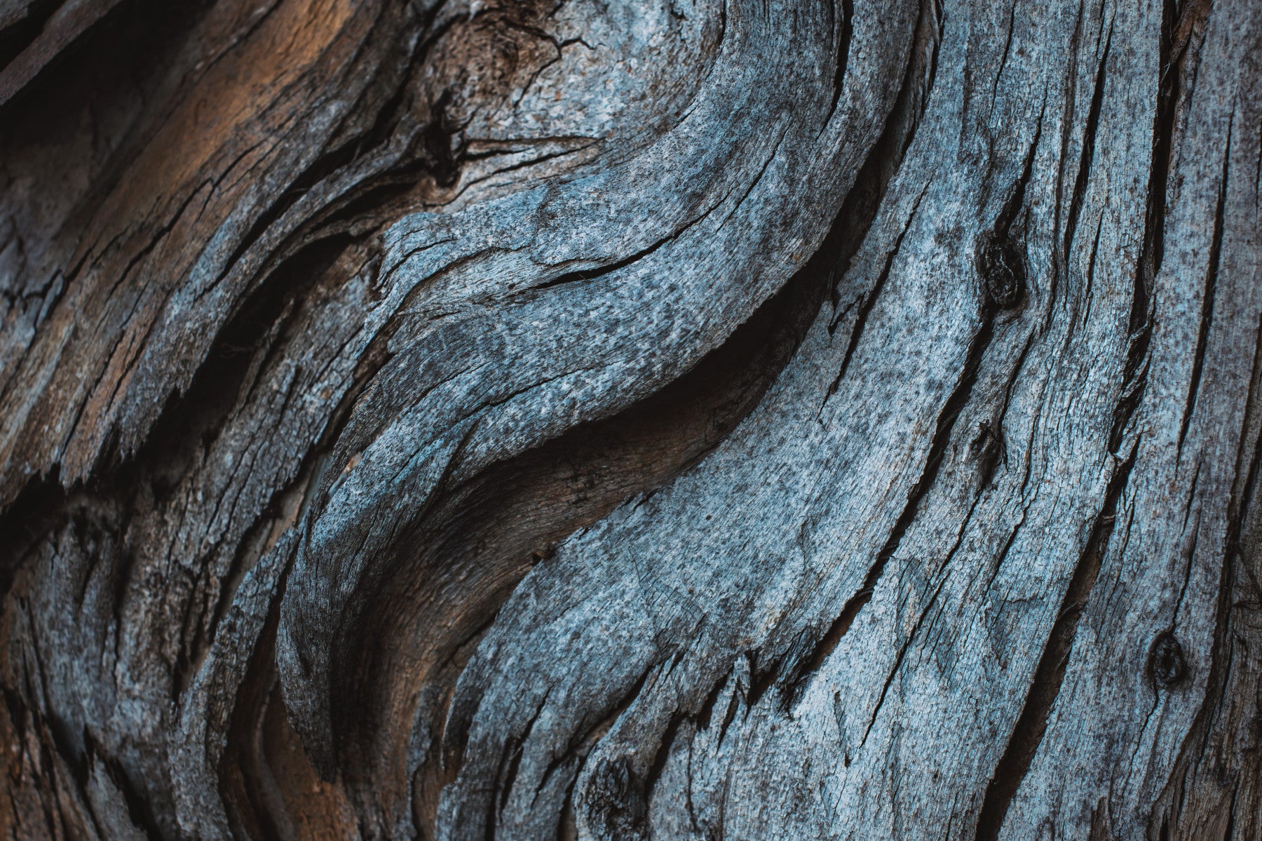 Rustic Blue Wood Wall Mural -2226211