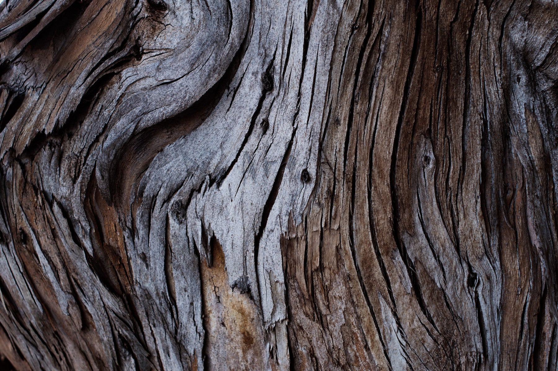 Worn Timber Wall Mural -2226210