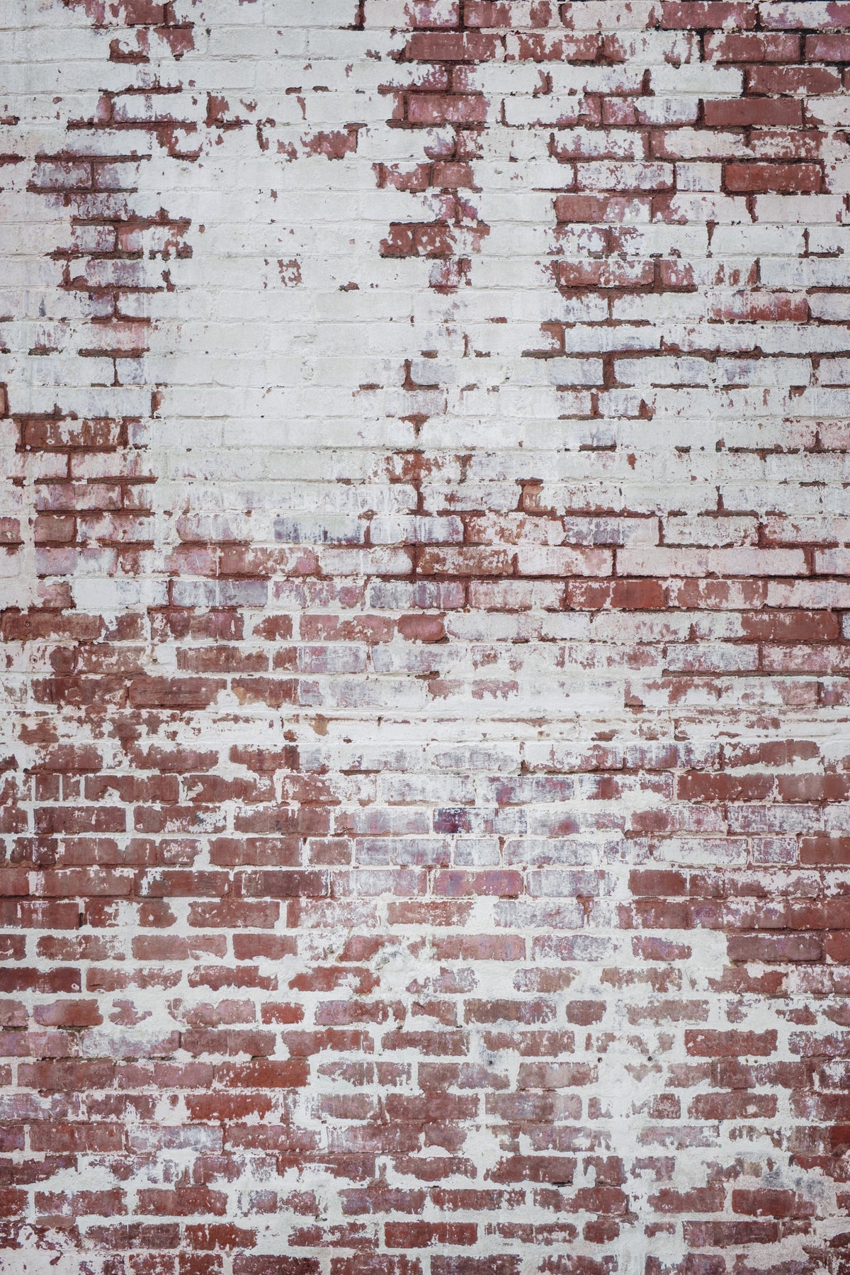 Urban Decay Brick Wall Mural -2226413 in your room — zoomed
