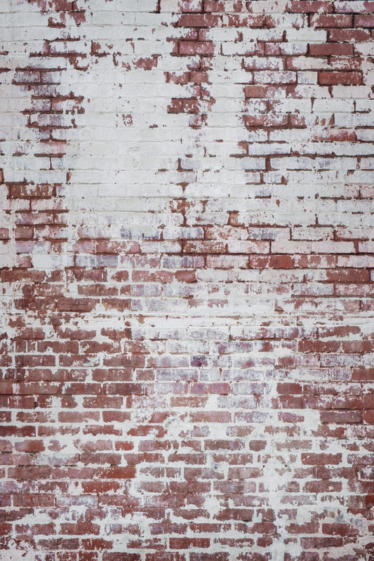 Urban Decay Brick Wall Mural -2226413