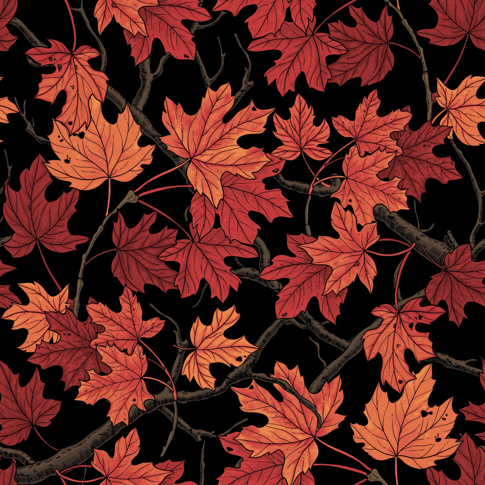 Red Autumn maple leaves on black Wallpaper⁠