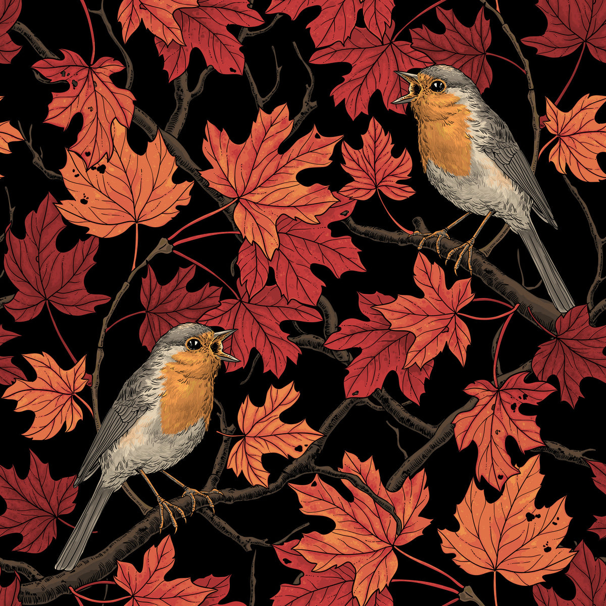 Robins in maple tree on black Wallpaper⁠ in your room — zoomed