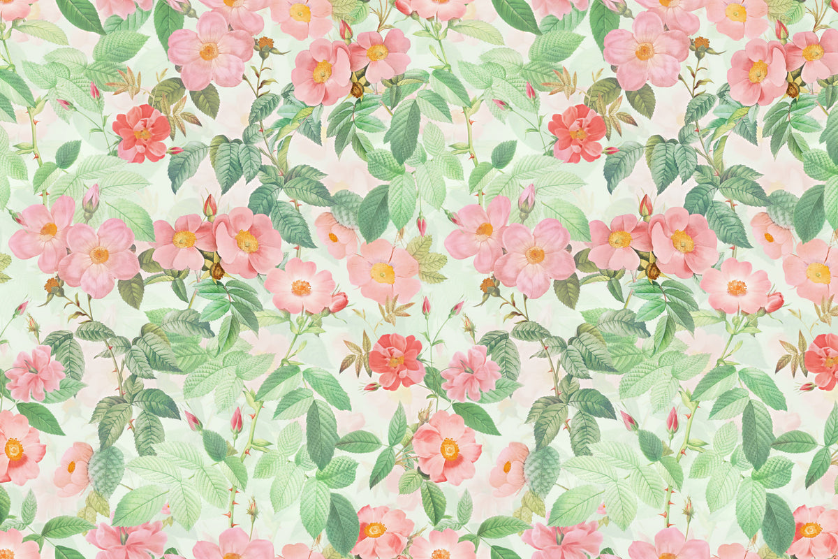 Vintage Redouté  Rose Garden Wall Mural