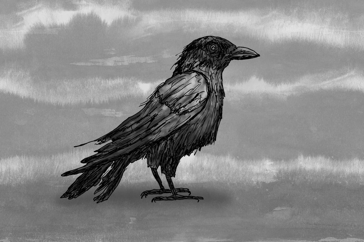 Mr Crow Wall Mural in your room