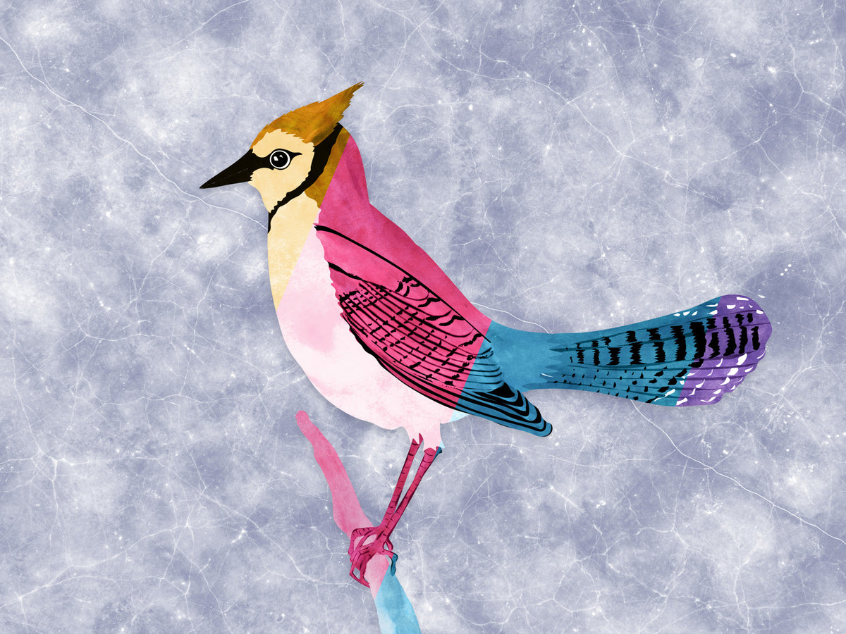 Colorful Jay Wall Mural in your room — zoomed