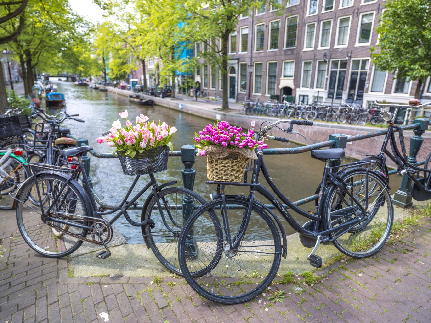 Amsterdam Blooms on Wheels Wall Mural