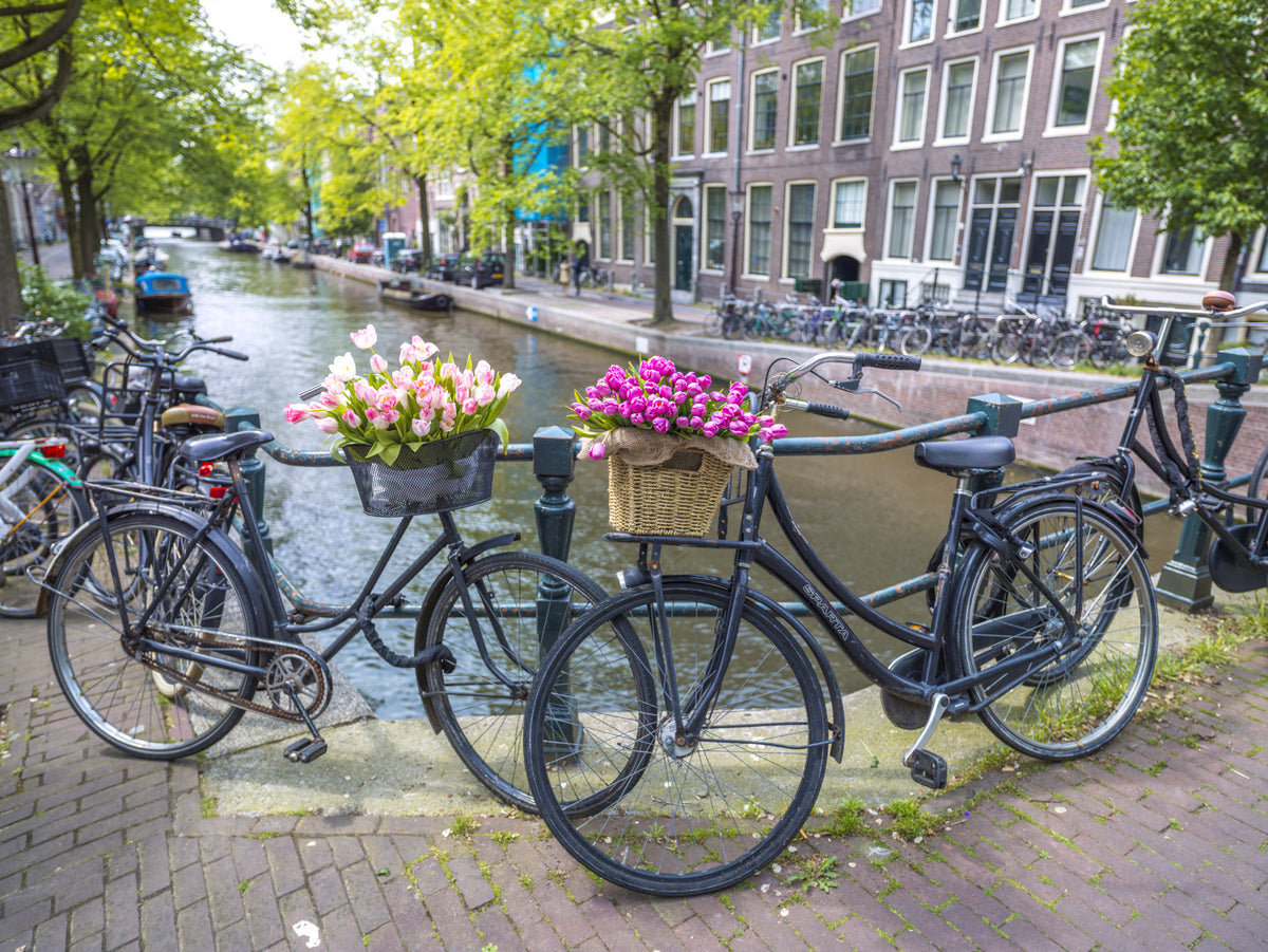 Amsterdam Blooms on Wheels Wall Mural in your room — zoomed