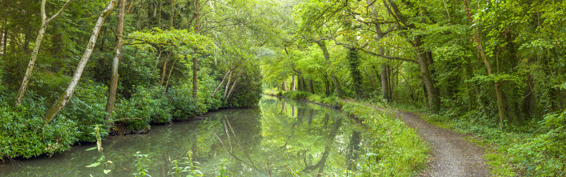 Verdant Stream Escape Wall Mural in your room — zoomed