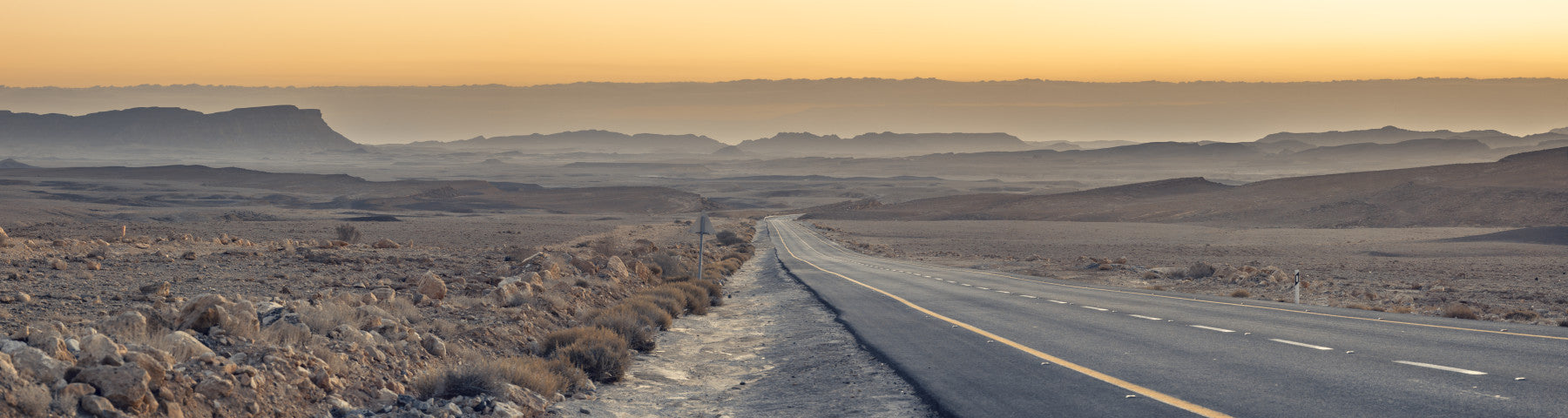 Traversing the Desert Wall Mural