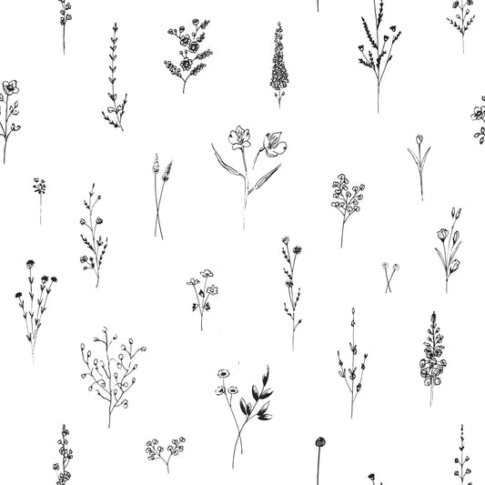 Botanische Skizze als Hintergrundbild -3005897