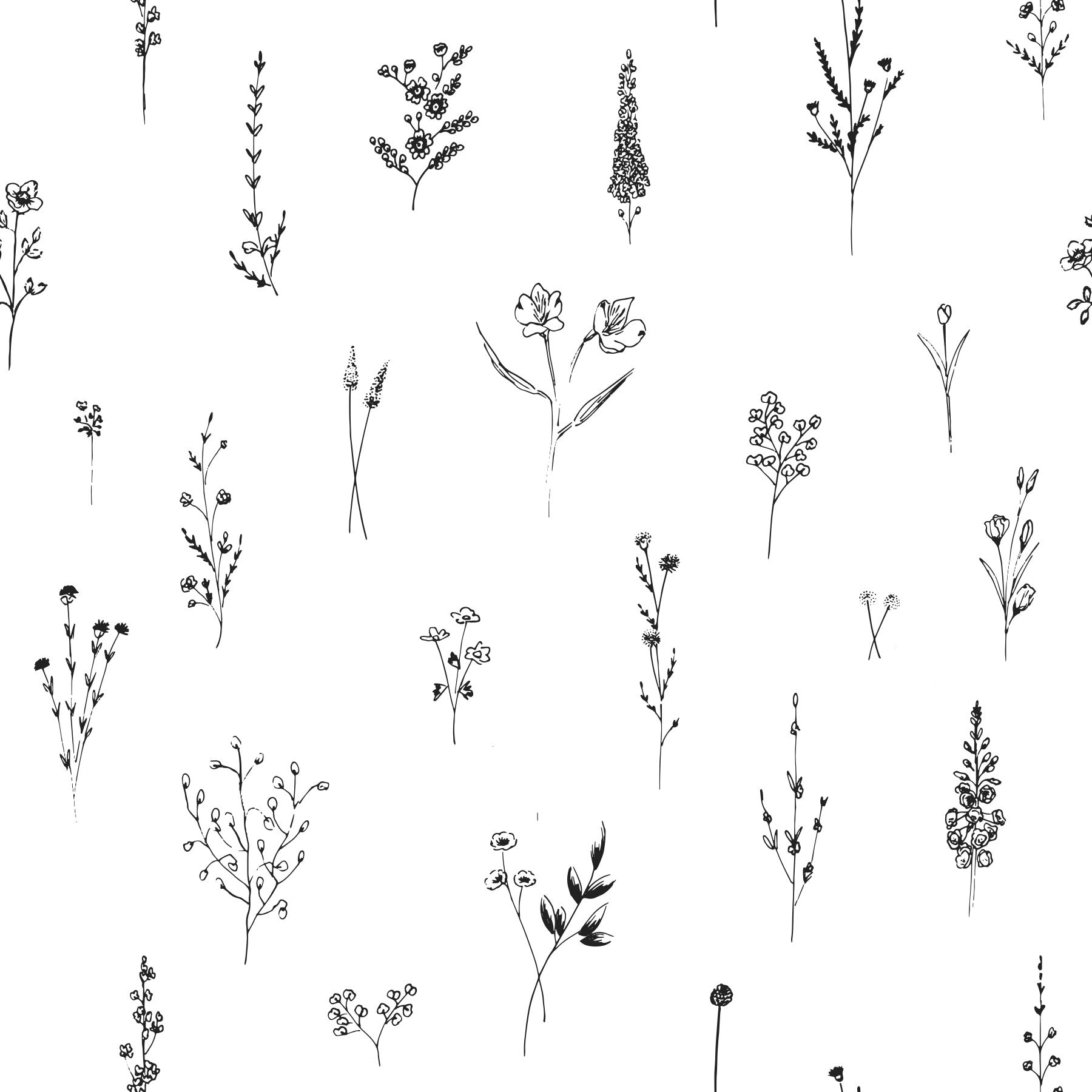 植物スケッチの壁紙 -3005897
