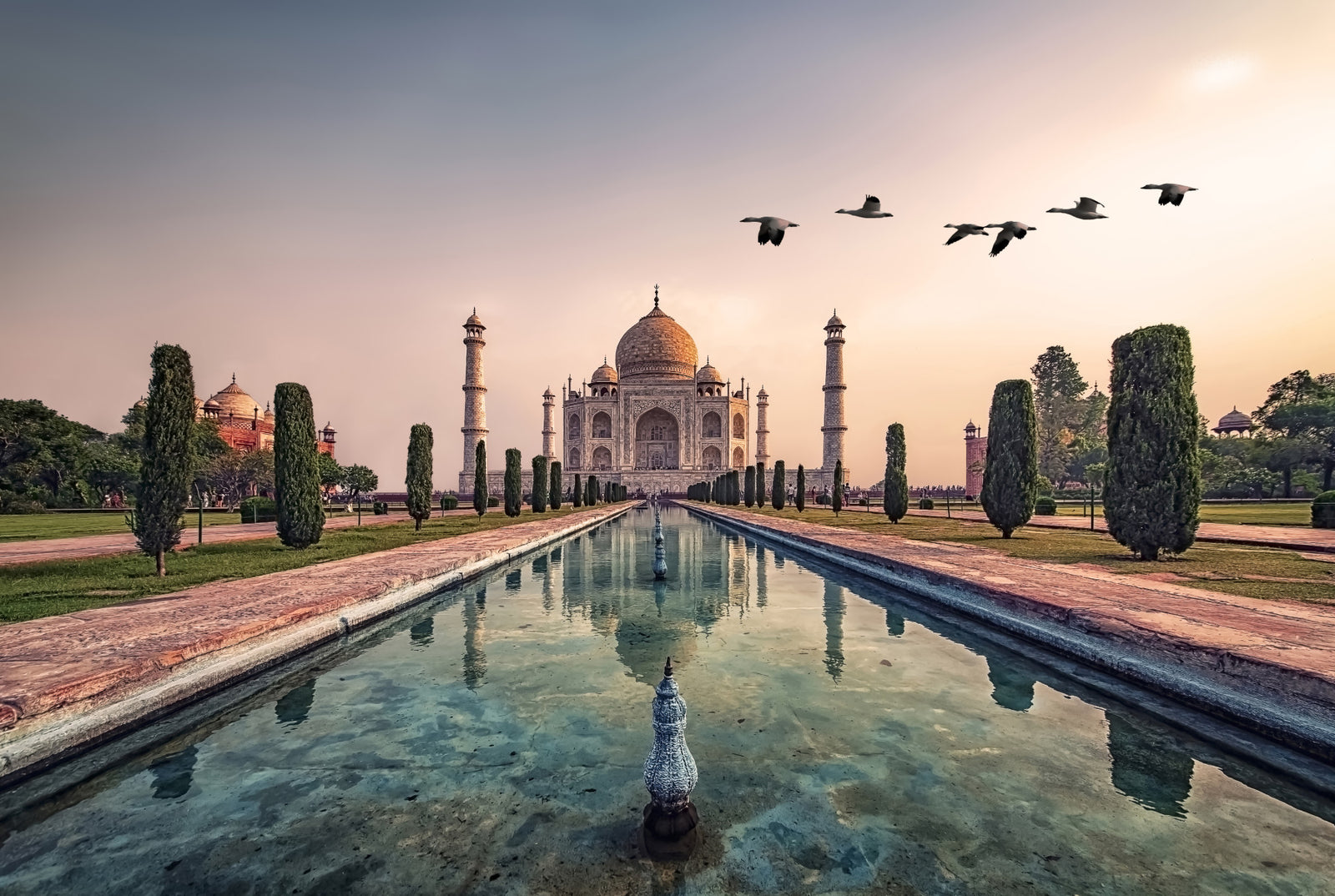 India's Taj Mahal: A Timeless Wonder Wall Mural