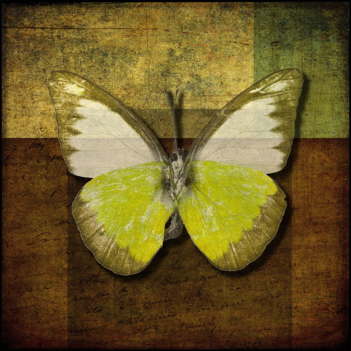 Butterfly Vintage Hues Wall Mural
