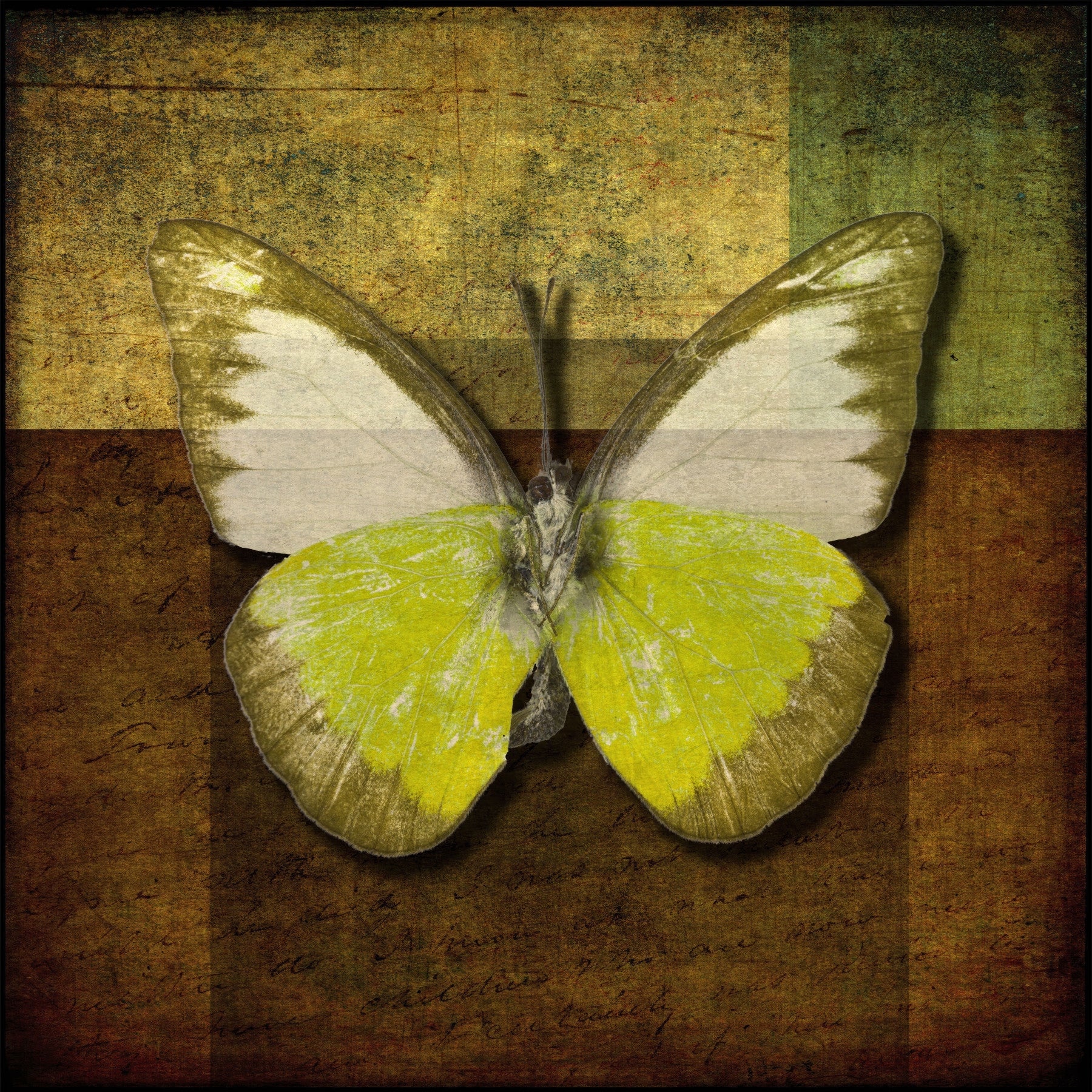 Golden Wings Wall Mural