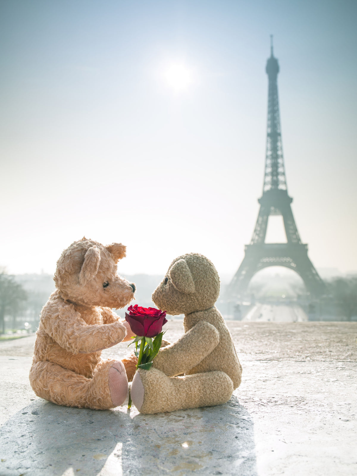 Bears in Love Wall Mural in your room