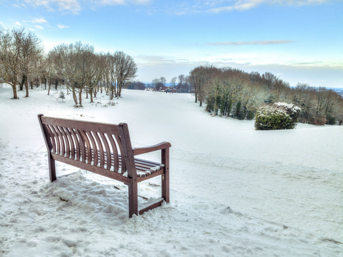 Bench in a Snowy Landscape Wall Mural in your room — zoomed