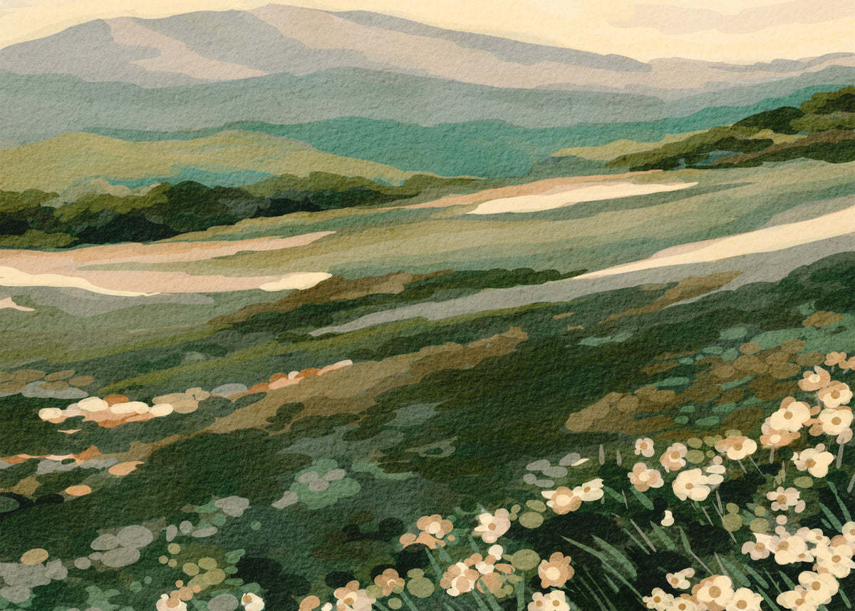 Floral Meadow Vista Wall Mural in your room