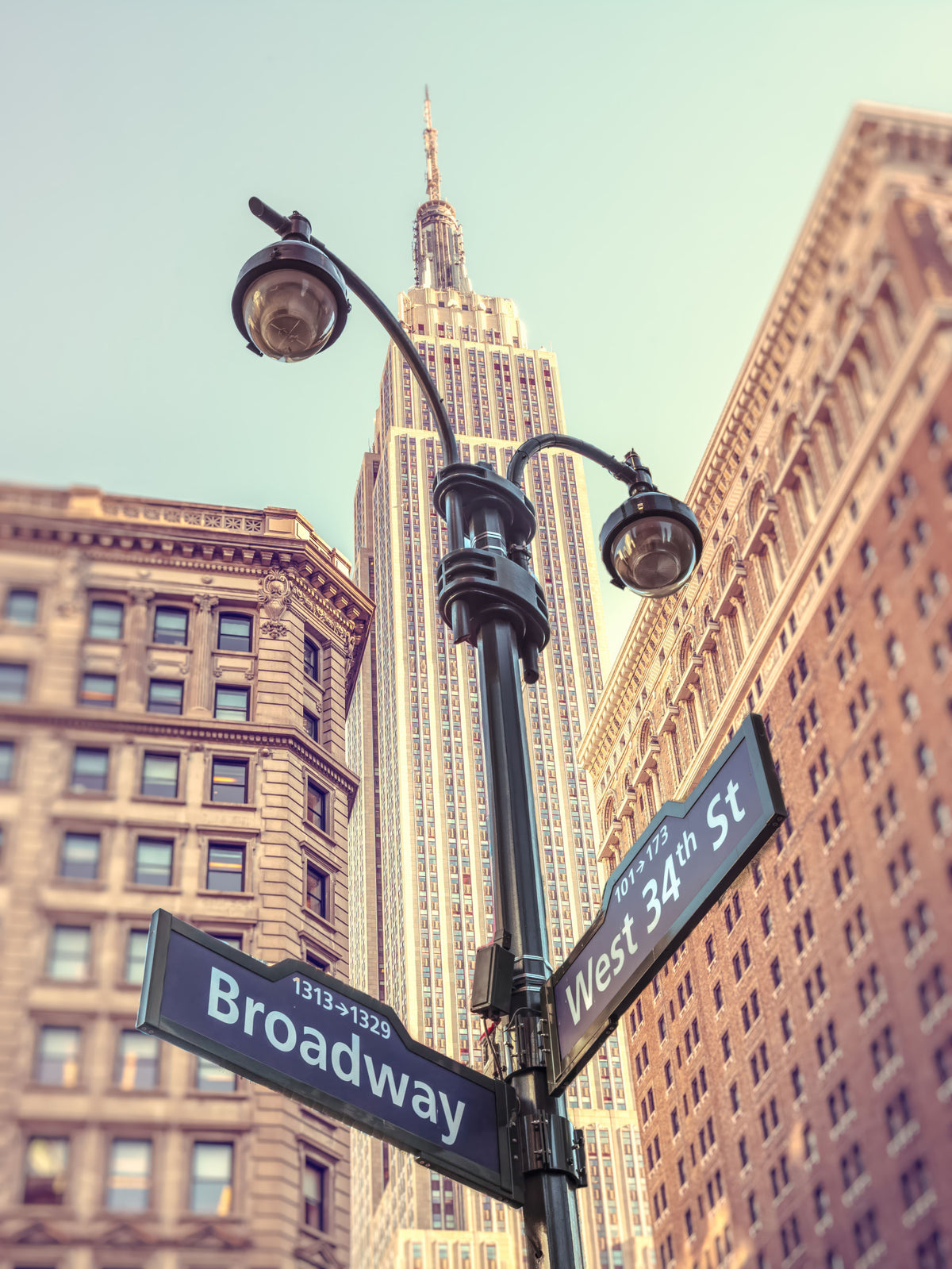 Manhattan Majesty Wall Mural in your room
