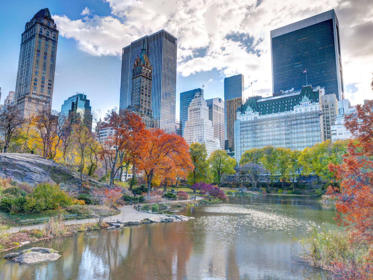Autumn in the City Wall Mural in your room — zoomed