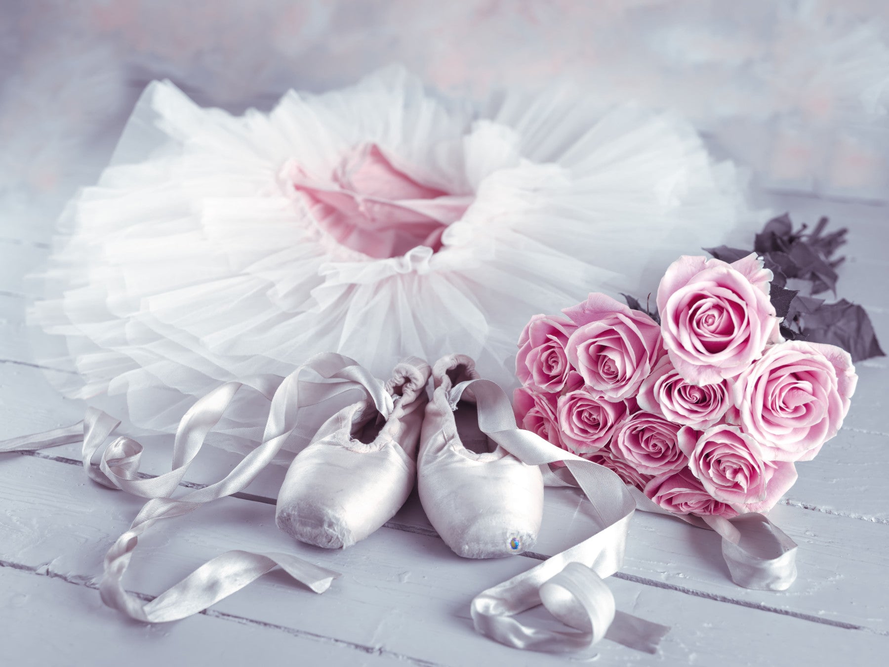 Graceful Ballet Still Life with Roses Wall Mural