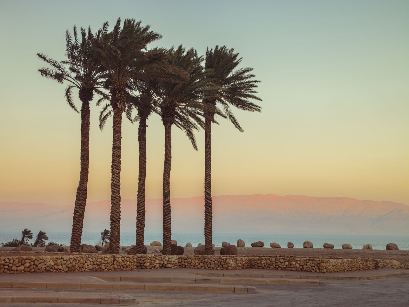 Palm Trees on Beach Wall Mural in your room