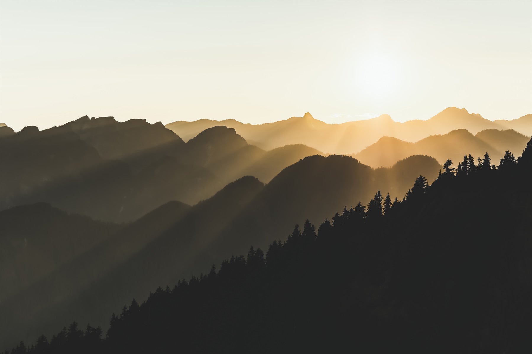 Fresque murale Mountain Dawn Woodland - 2254321 in your room — zoomed