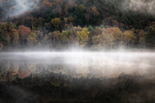 Ethereal Waters Edge Woodland Wall Mural - 2264459