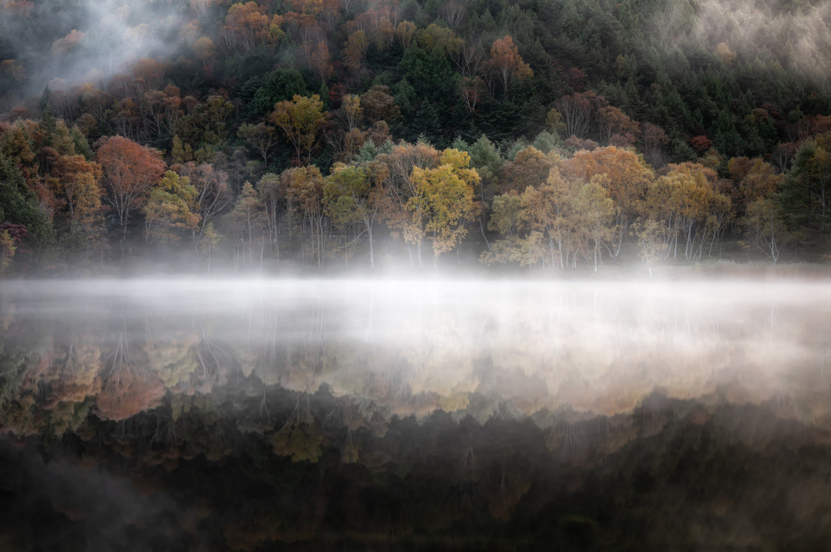 Fototapet Ethereal Waters Edge Woodland - 2264459